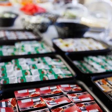 Palace E Monte Rio מלון 4*