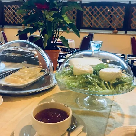 Palace E Monte Rio فندق ترمس دي ساو بيدرو دو سول