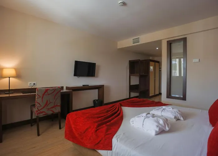 Palace E Monte Rio Hotel