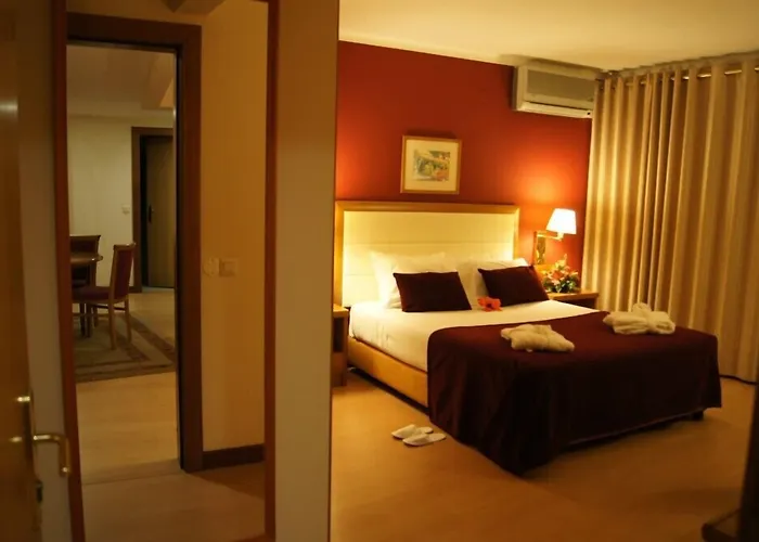 Palace E Monte Rio 4* Termas de São Pedro do Sul