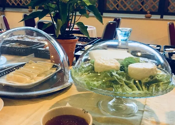 Palace E Monte Rio Hotel Termas de Sao Pedro do Sul